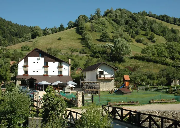 Podul TurculuiPensiune