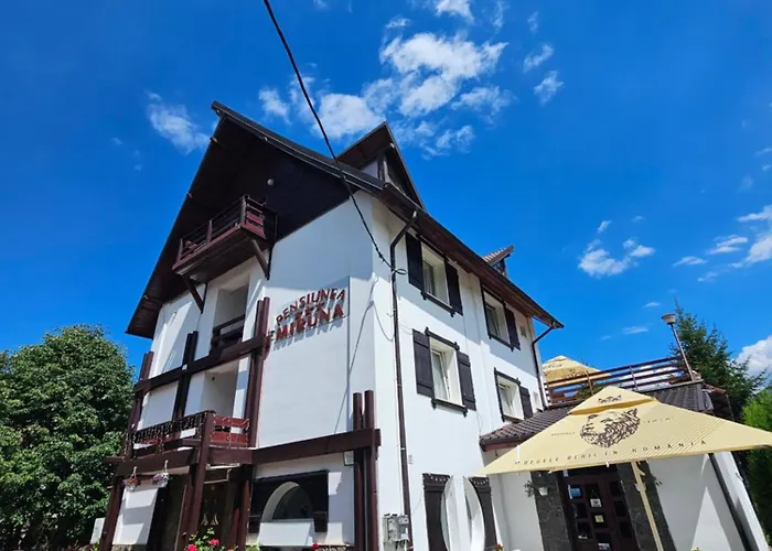 Pensiunea MirunaPensiune